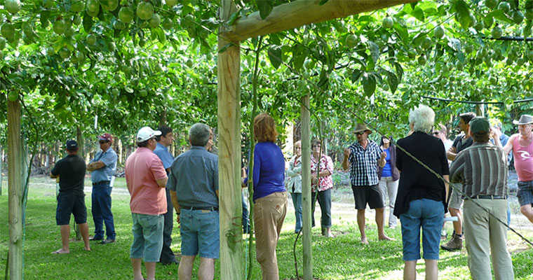 People_in_the_vines