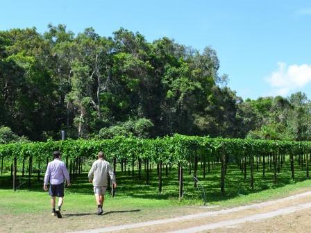 SG FNQ2