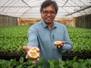 Mo-Alam-Passionfruit(c)-Megan-Pope-UQ-6-WEB