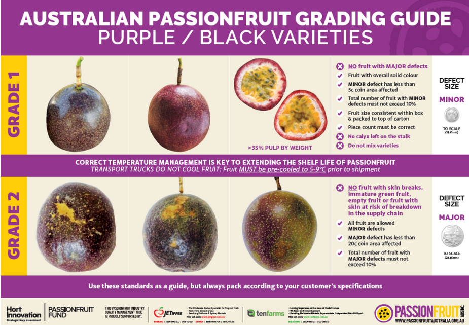 Purple Grading Guide